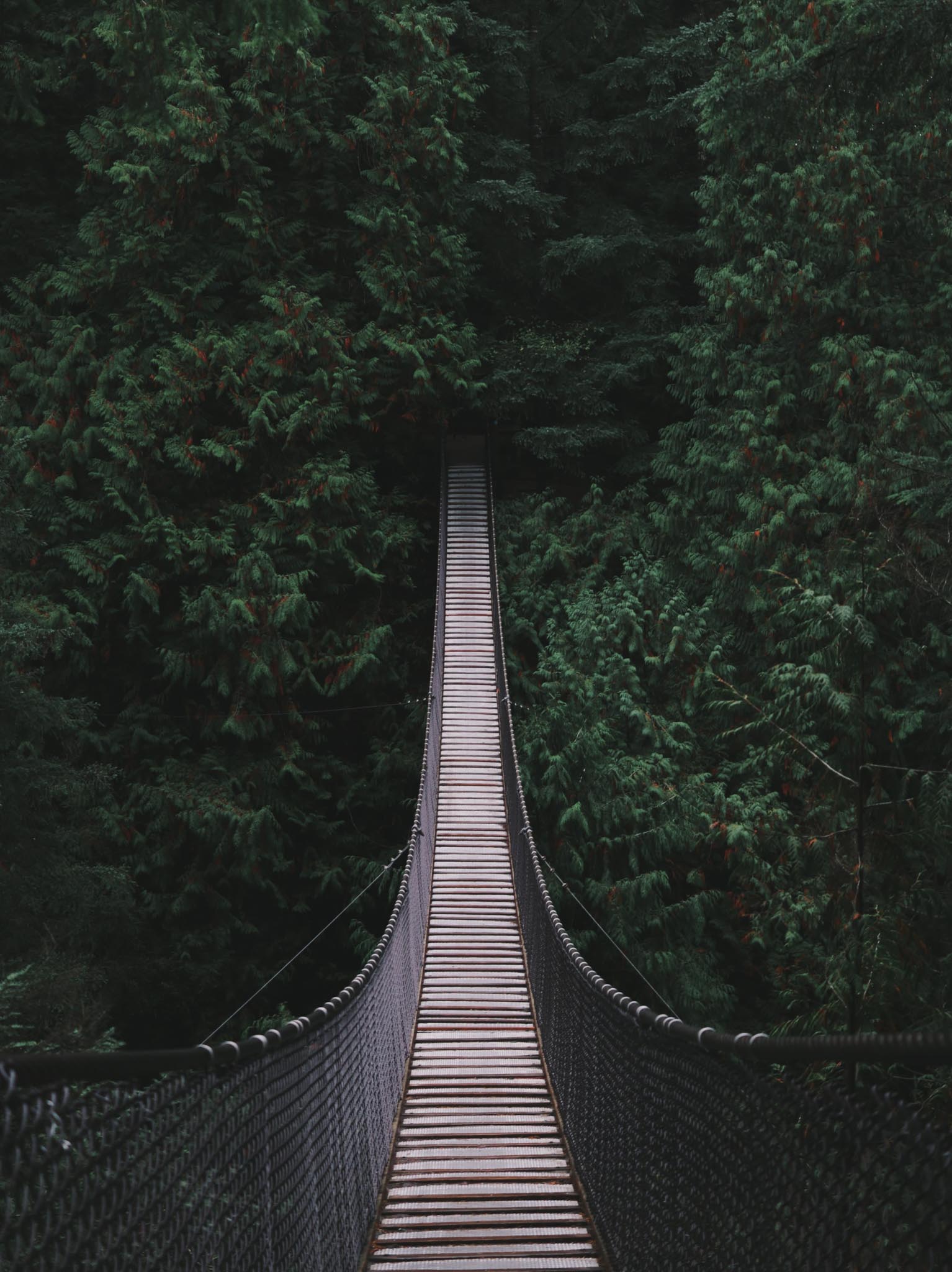 Photo d'un pont suspendu en bois dans la forêt il y a beaucoup d'arbres autour du pont