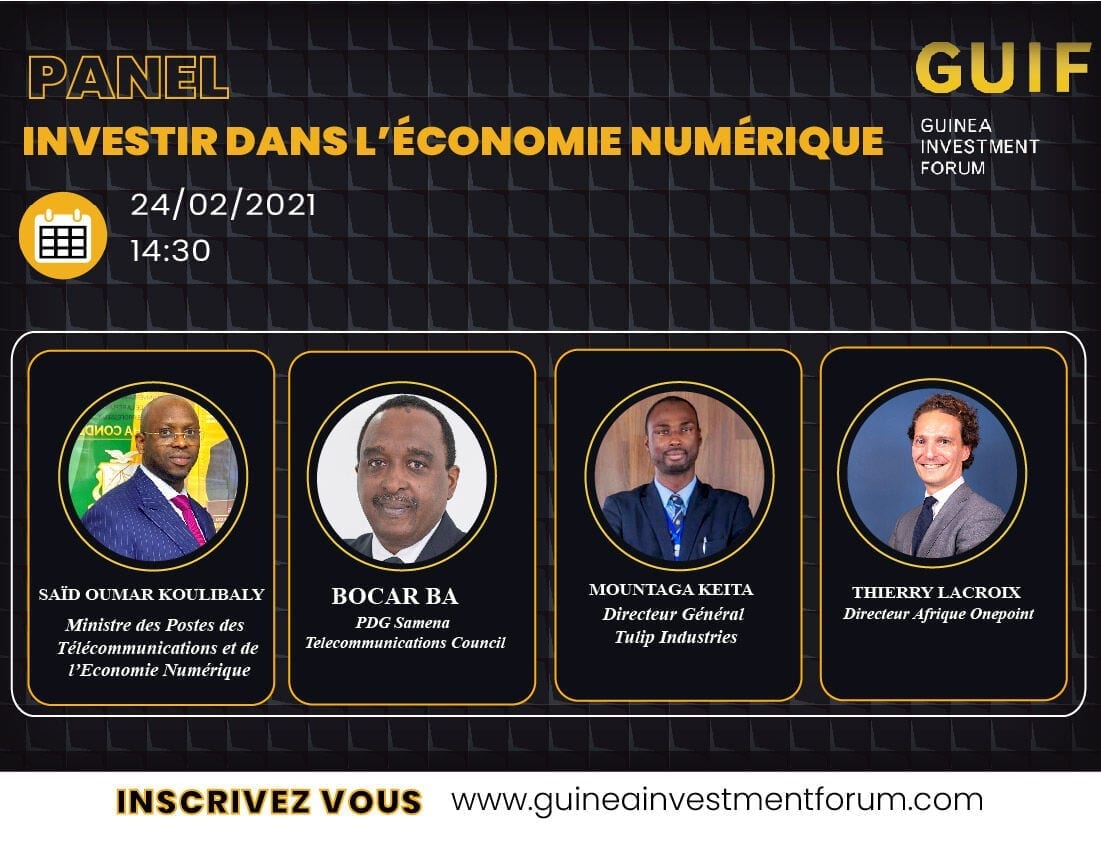 Visuel du Panel Guinea Investment Forum, expert onepoint
