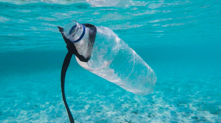 photographie d'une bouteille de plastique sous l'eau entourée d'un lacet