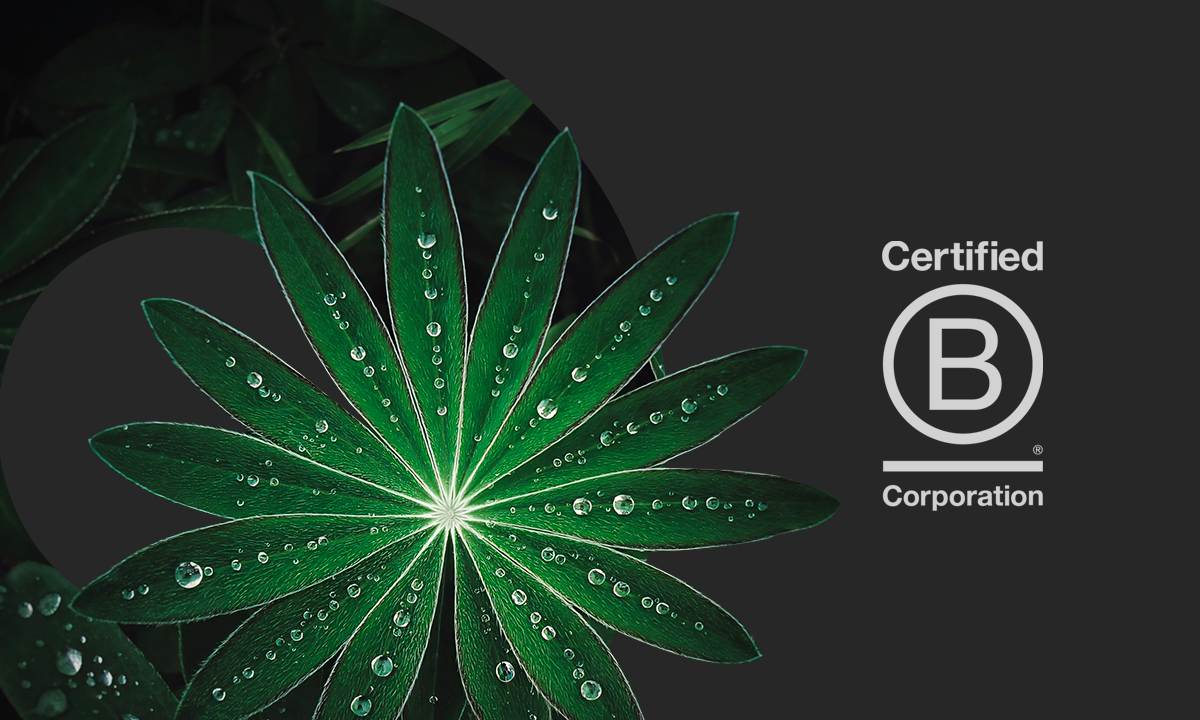 Certified corporation b corp