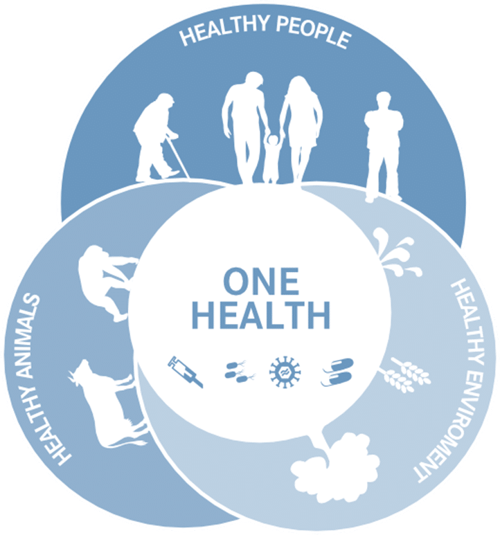 onehealth