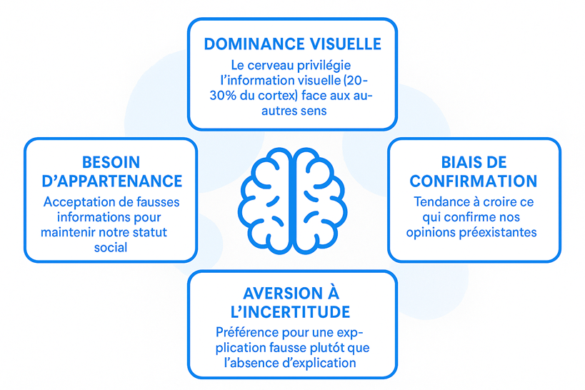 Figure 1 : Mécanismes psychologiques exploités par les deepfakes. Notre cerveau privilégie l'information visuelle (30% du cortex). En outre, nos besoins fondamentaux de croyance, d'appartenance et de confiance induient des vulnérabilités cognitives que la technologie deepfake exploite systématiquement.